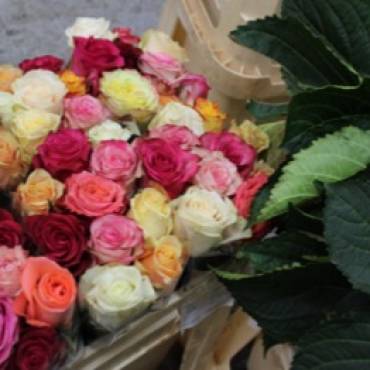 パリの花市場